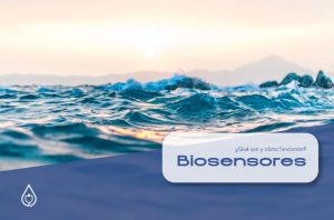 Biosensores
